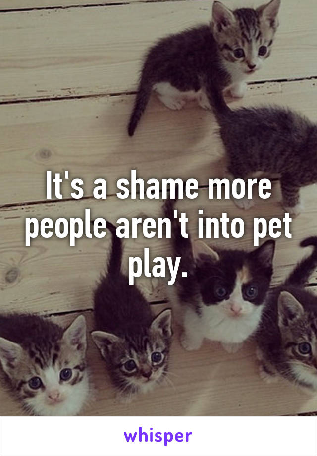 It's a shame more people aren't into pet play.