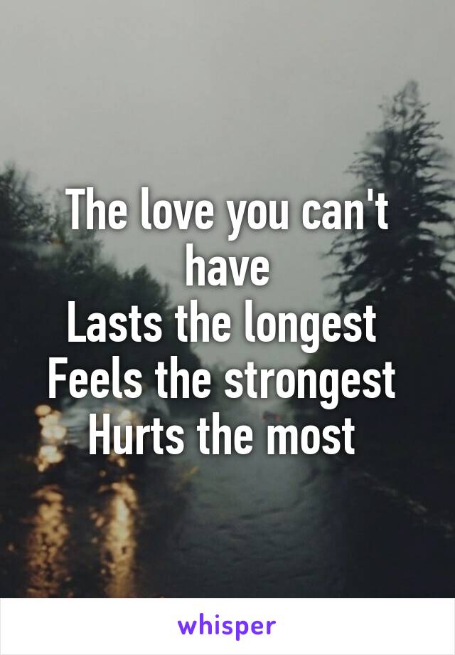 The love you can't have
Lasts the longest 
Feels the strongest 
Hurts the most 