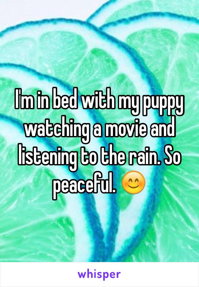 I'm in bed with my puppy watching a movie and listening to the rain. So peaceful. 😊