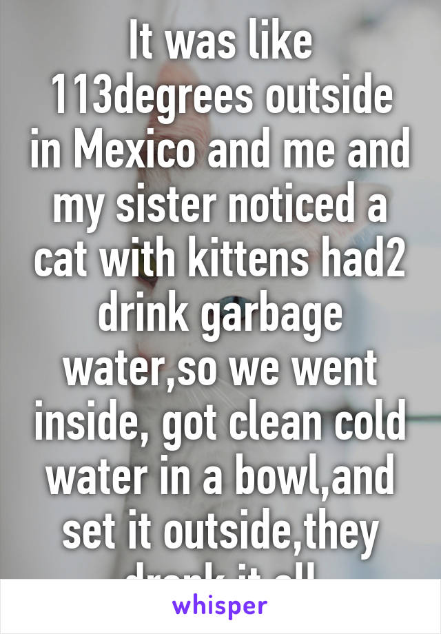 It was like 113degrees outside in Mexico and me and my sister noticed a cat with kittens had2 drink garbage water,so we went inside, got clean cold water in a bowl,and set it outside,they drank it all