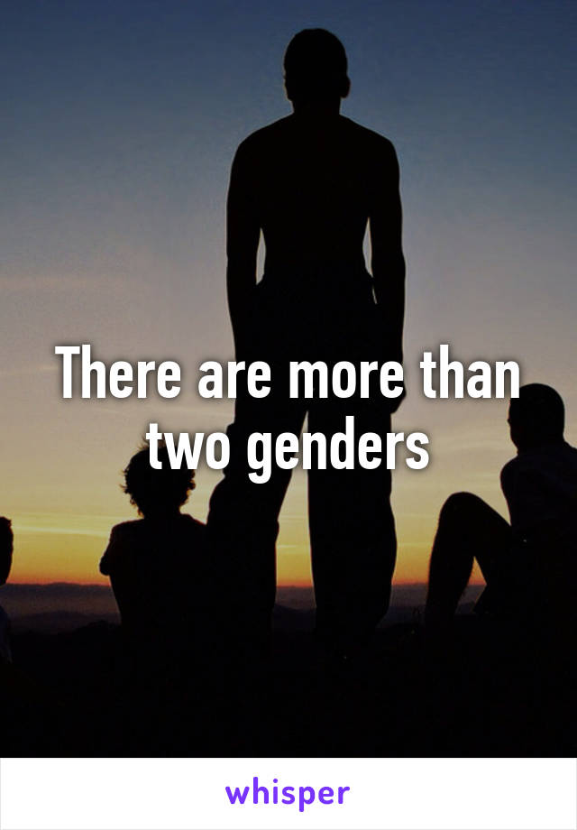 There are more than two genders