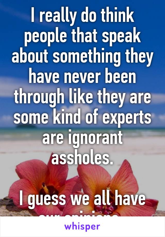 I really do think people that speak about something they have never been through like they are some kind of experts are ignorant assholes.

I guess we all have our opinions. 