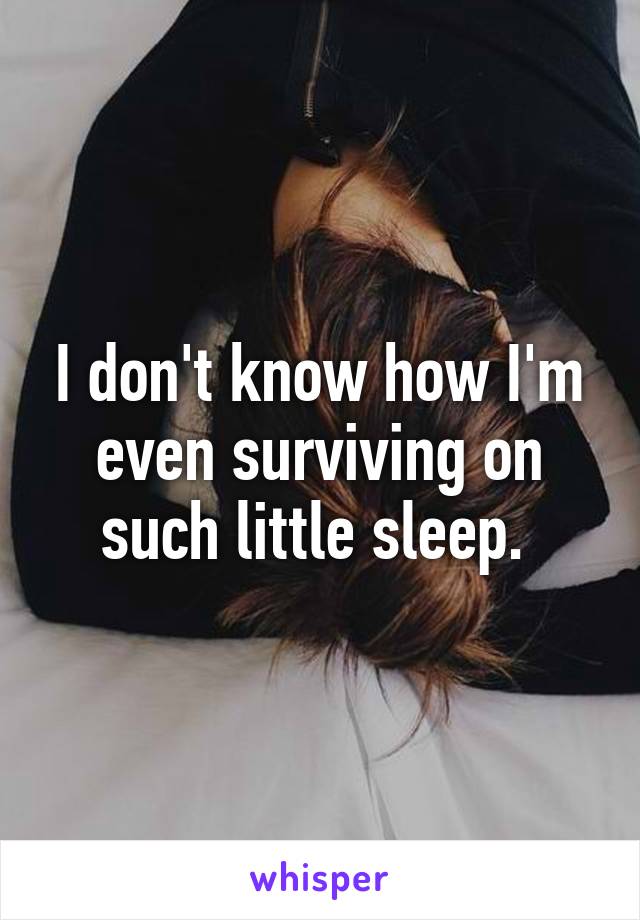 I don't know how I'm even surviving on such little sleep. 