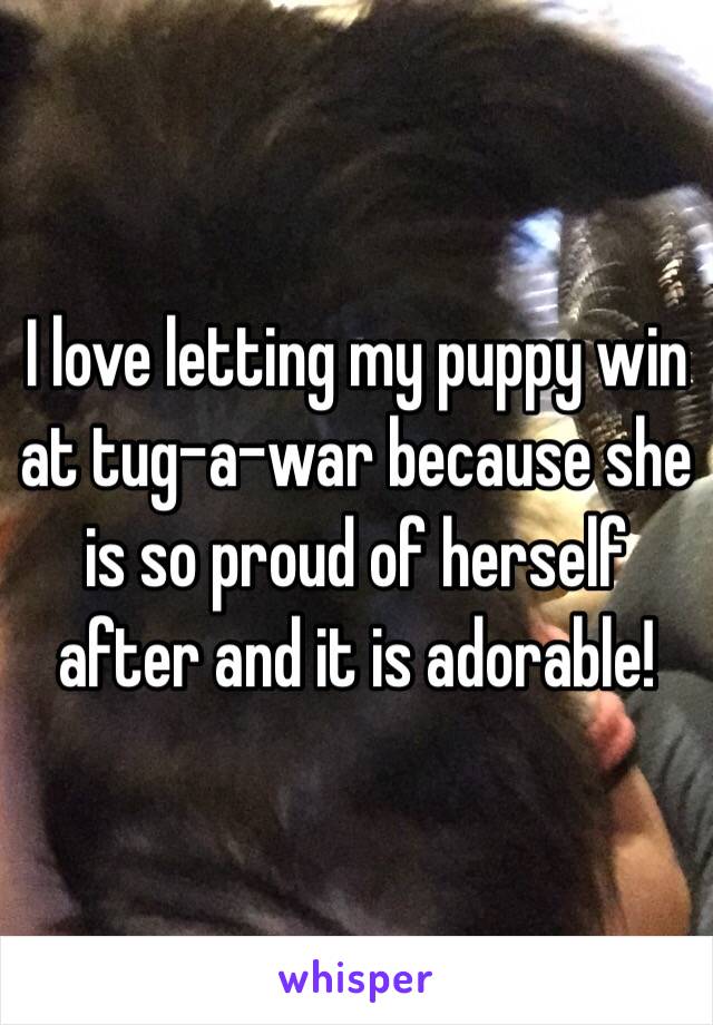 I love letting my puppy win at tug-a-war because she is so proud of herself after and it is adorable!