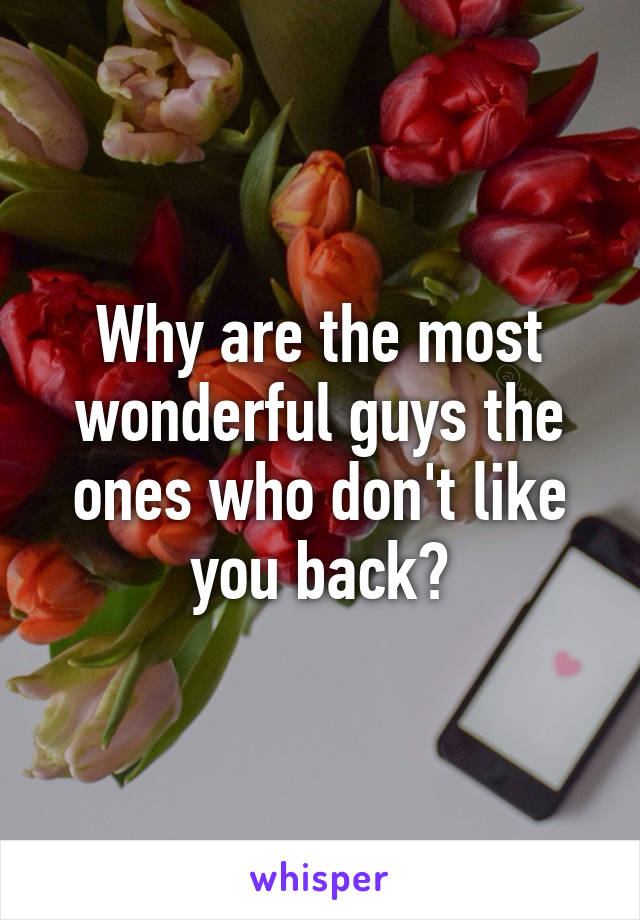 Why are the most wonderful guys the ones who don't like you back?