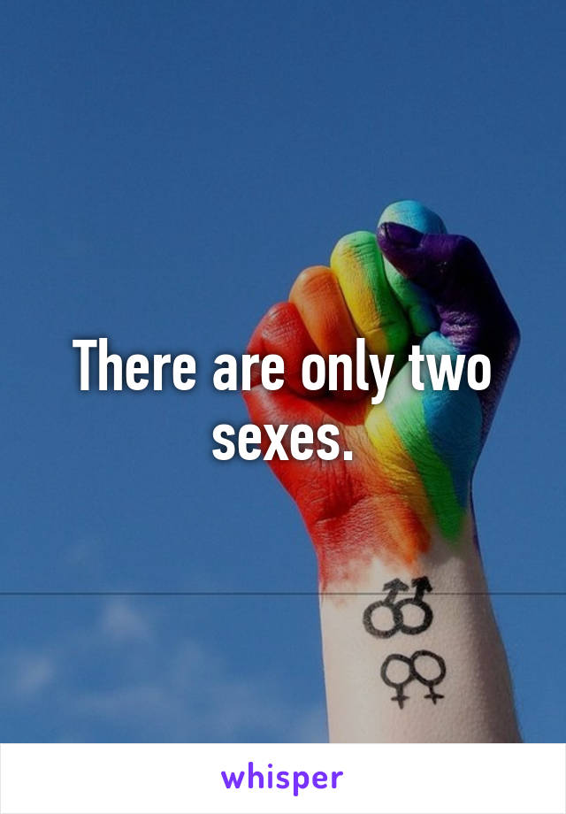 There are only two sexes.