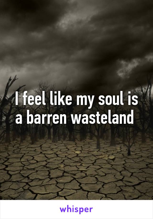 I feel like my soul is a barren wasteland 