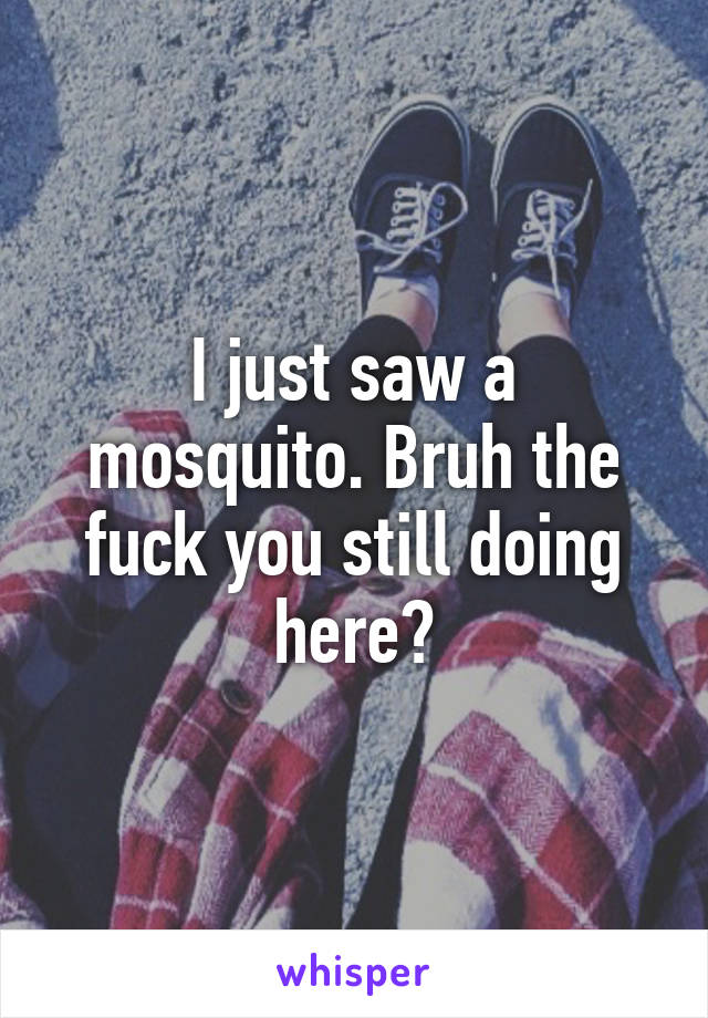 I just saw a mosquito. Bruh the fuck you still doing here?