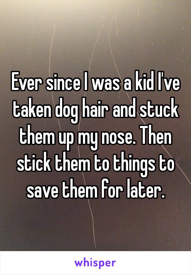 Ever since I was a kid I've taken dog hair and stuck them up my nose. Then stick them to things to save them for later. 