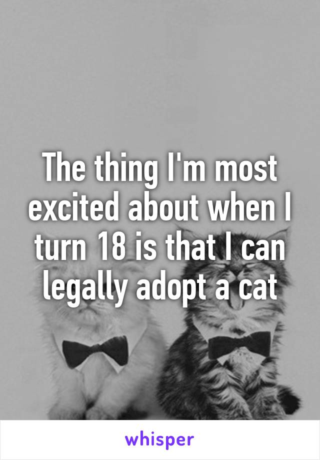 The thing I'm most excited about when I turn 18 is that I can legally adopt a cat