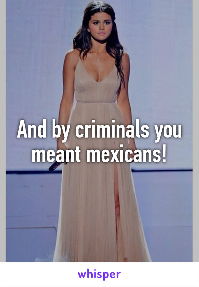 And by criminals you meant mexicans!