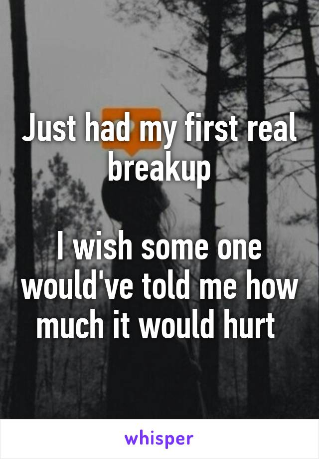 Just had my first real breakup

I wish some one would've told me how much it would hurt 