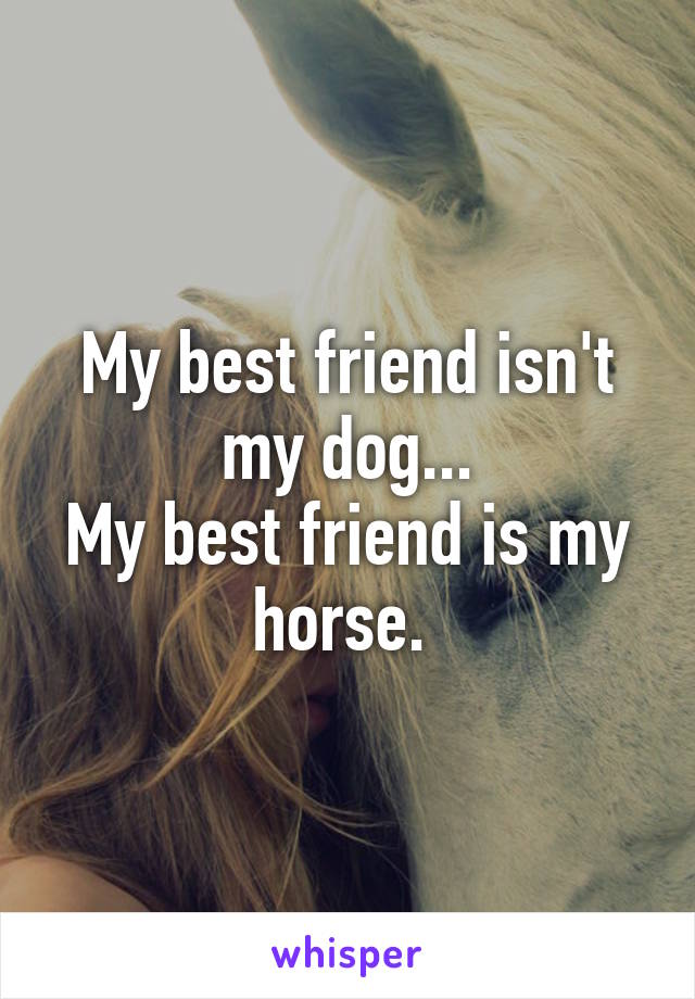 My best friend isn't my dog...
My best friend is my horse. 