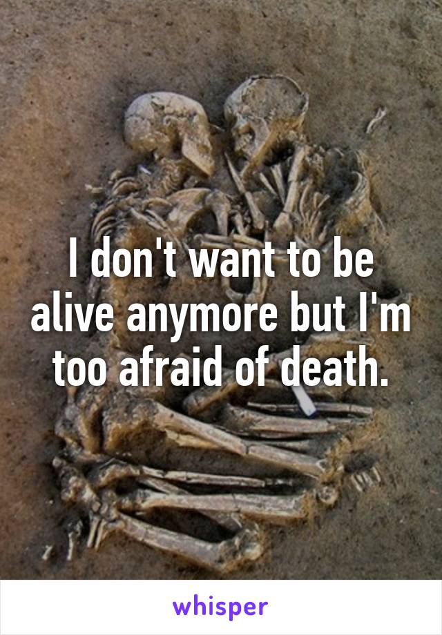 I don't want to be alive anymore but I'm too afraid of death.