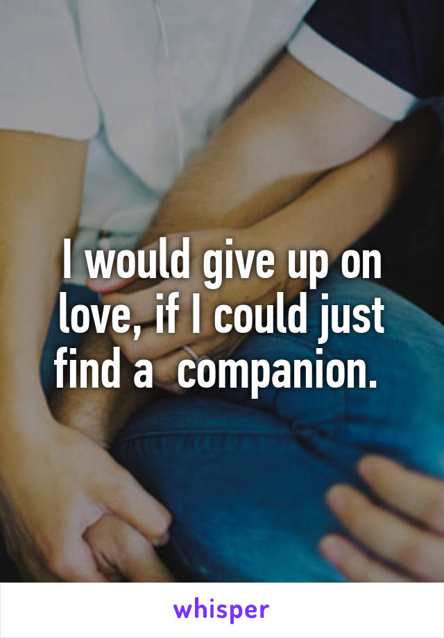 I would give up on love, if I could just find a  companion. 