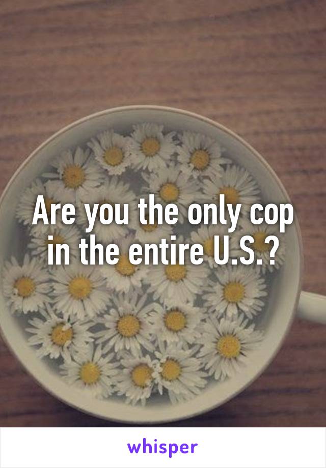 Are you the only cop in the entire U.S.?