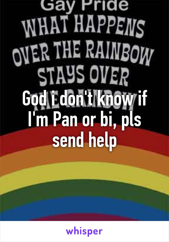 God i don't know if I'm Pan or bi, pls send help