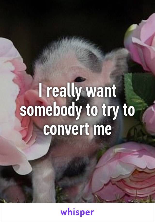 I really want somebody to try to convert me