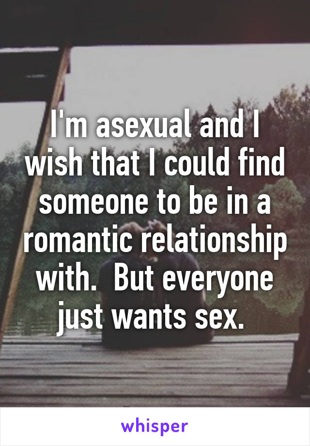 I'm asexual and I wish that I could find someone to be in a romantic relationship with.  But everyone just wants sex. 