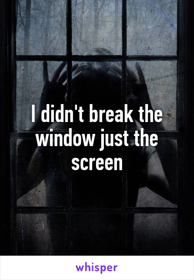 I didn't break the window just the screen