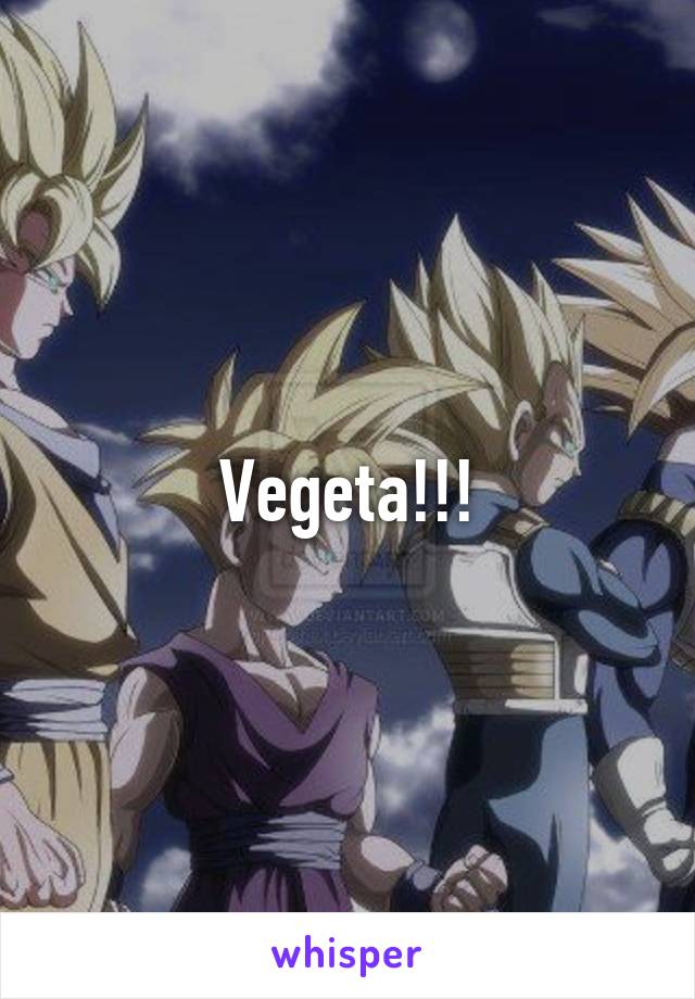 Vegeta!!!