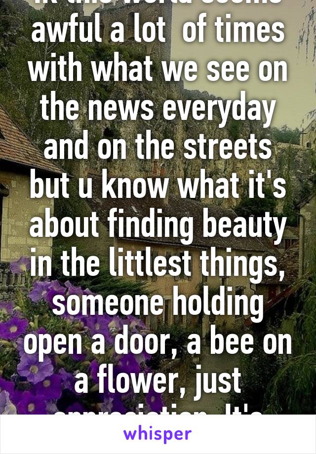 Ik this world seems awful a lot  of times with what we see on the news everyday and on the streets but u know what it's about finding beauty in the littlest things, someone holding open a door, a bee on a flower, just appreciation. It's what gets me by 