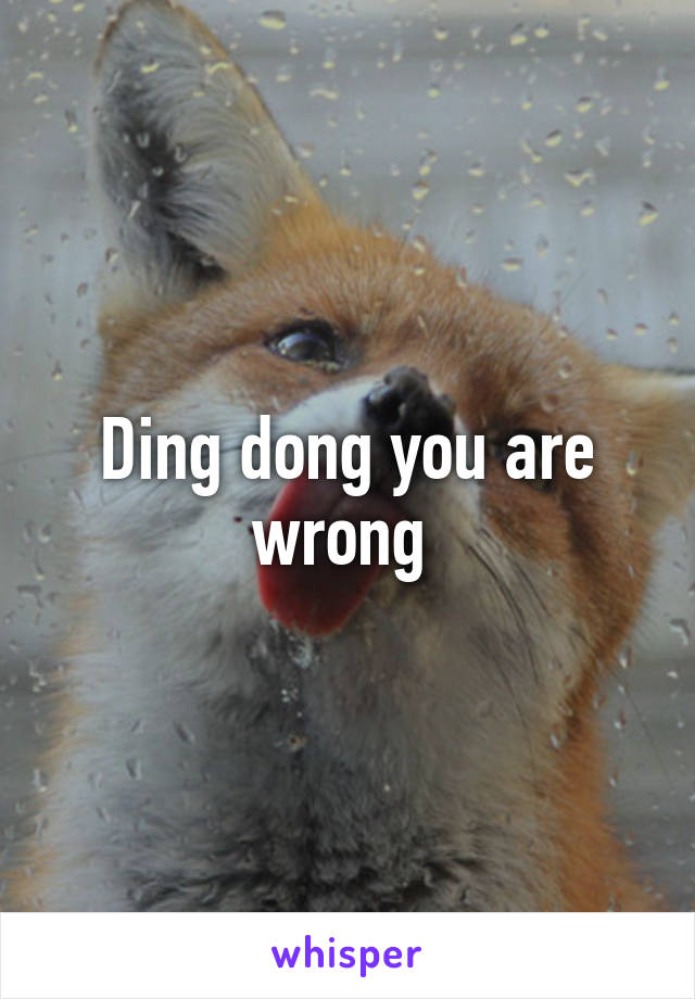 Ding dong you are wrong 