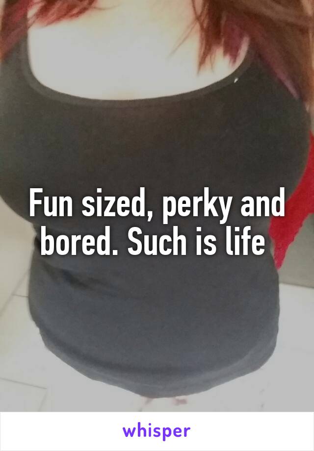 Fun sized, perky and bored. Such is life 