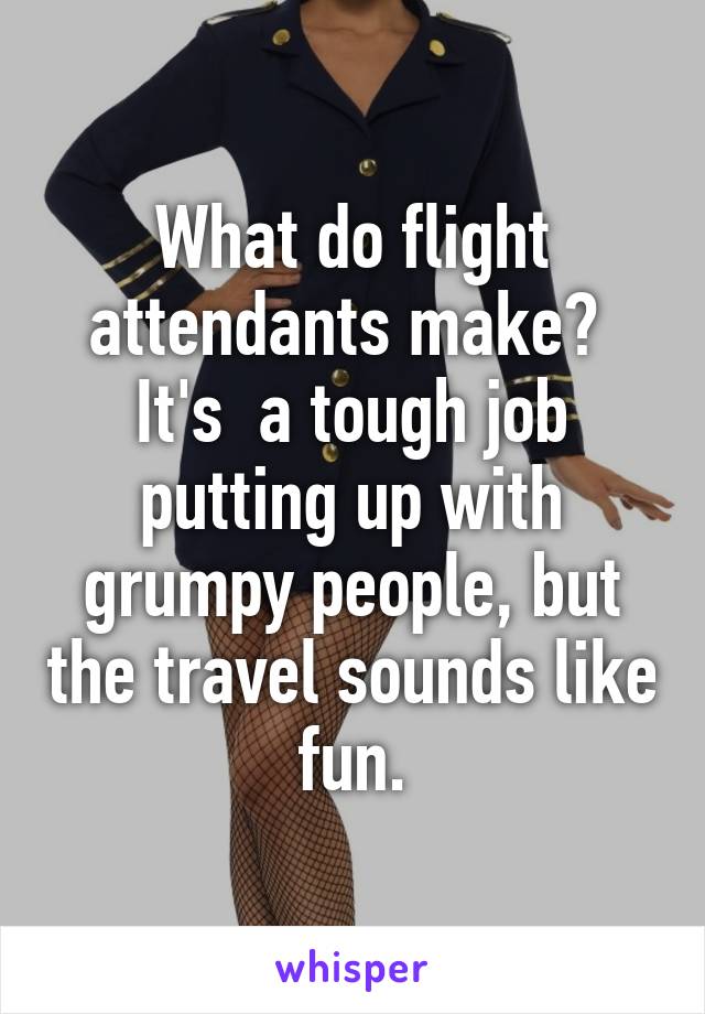 What do flight attendants make?  It's  a tough job putting up with grumpy people, but the travel sounds like fun.