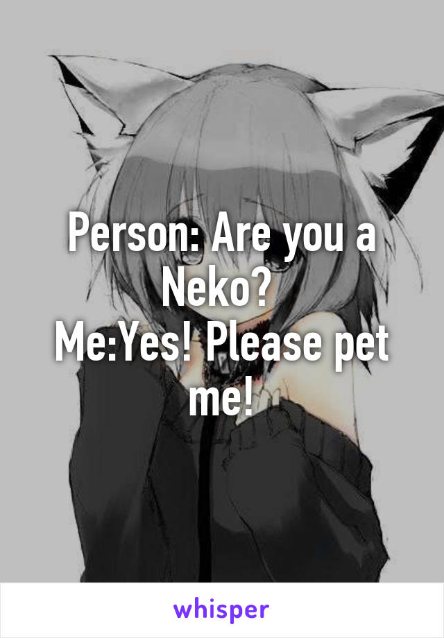 Person: Are you a Neko? 
Me:Yes! Please pet me!