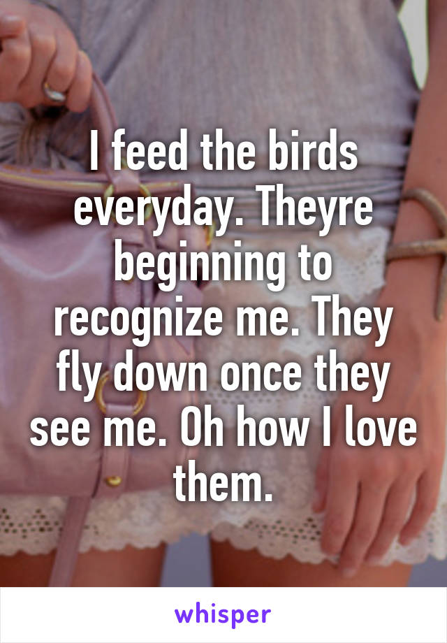 I feed the birds everyday. Theyre beginning to recognize me. They fly down once they see me. Oh how I love them.