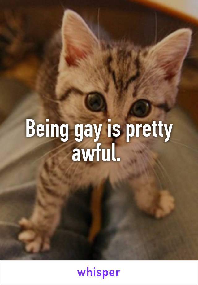 Being gay is pretty awful. 