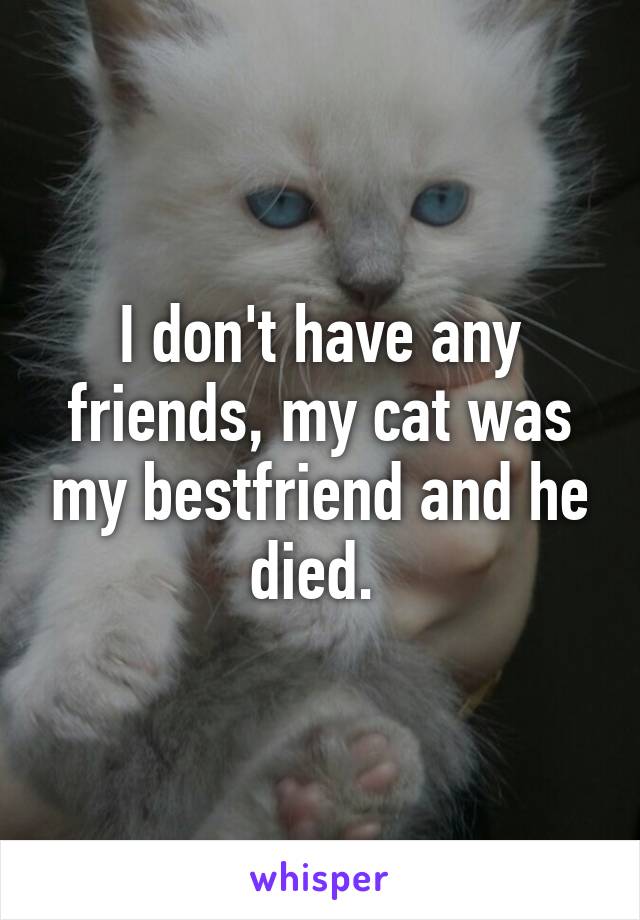 I don't have any friends, my cat was my bestfriend and he died. 