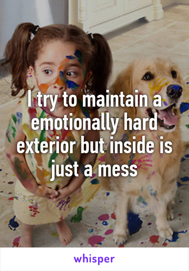 I try to maintain a emotionally hard exterior but inside is just a mess