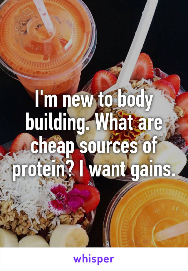 I'm new to body building. What are cheap sources of protein? I want gains.