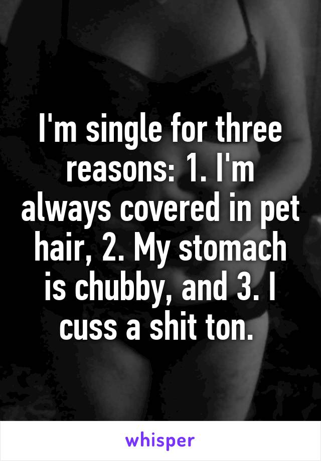 I'm single for three reasons: 1. I'm always covered in pet hair, 2. My stomach is chubby, and 3. I cuss a shit ton. 