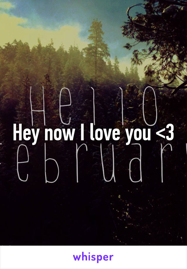 Hey now I love you <3