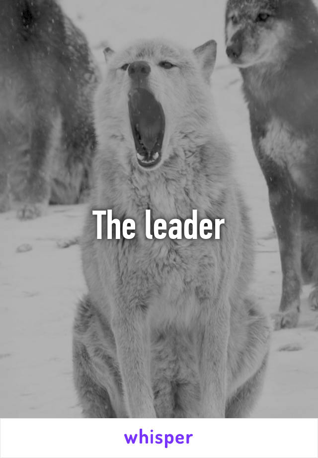 The leader