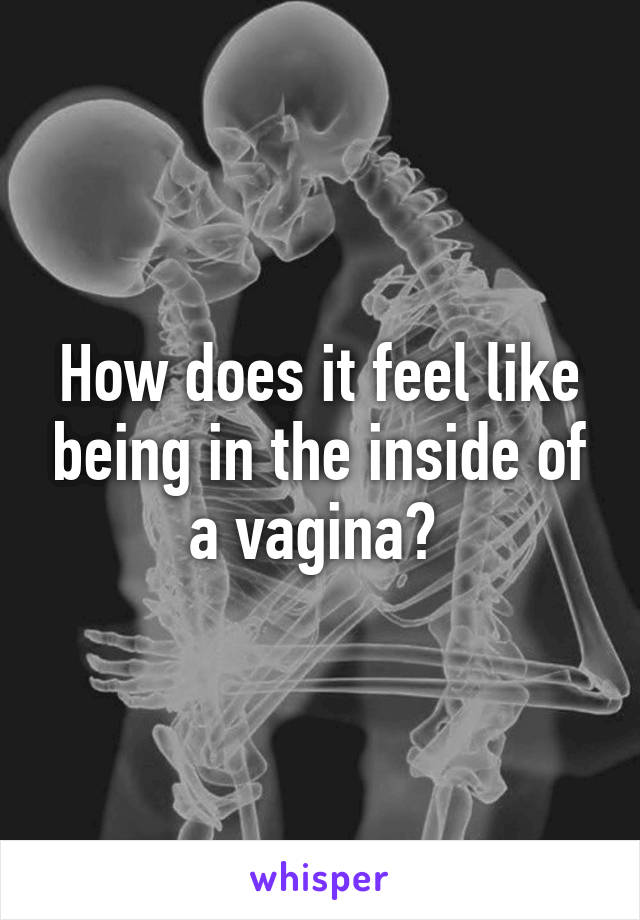 How does it feel like being in the inside of a vagina? 