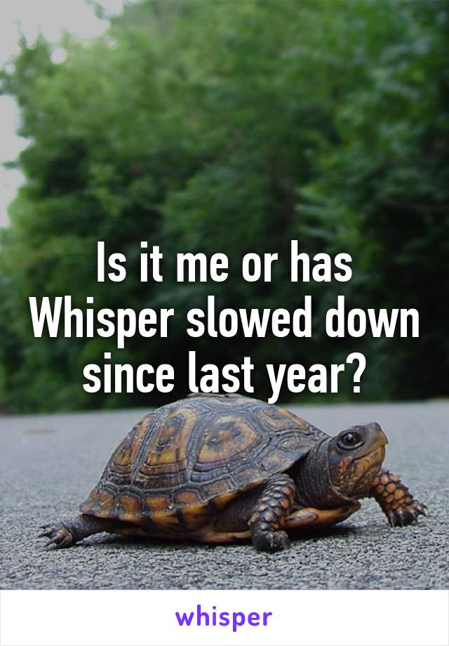 Is it me or has Whisper slowed down since last year?