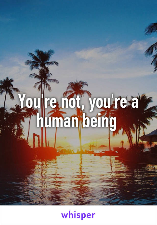 You're not, you're a human being 