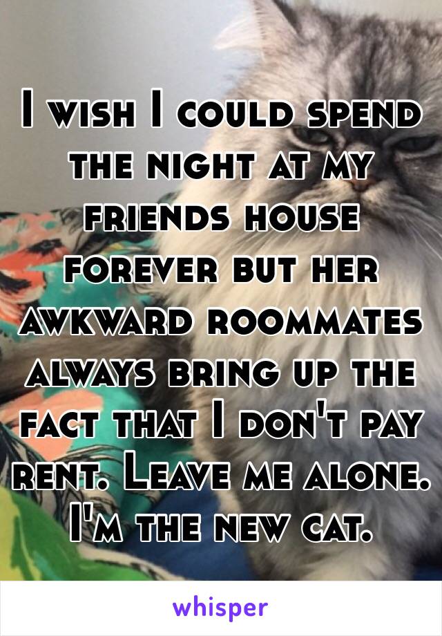 I wish I could spend the night at my friends house forever but her awkward roommates always bring up the fact that I don't pay rent. Leave me alone. I'm the new cat. 