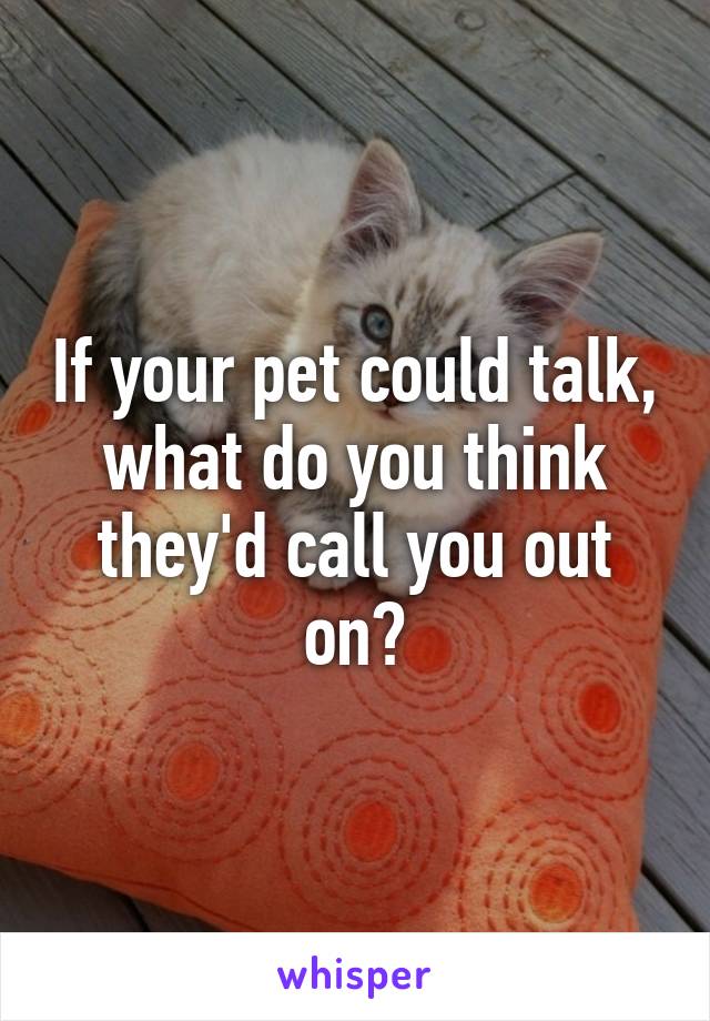 If your pet could talk, what do you think they'd call you out on?