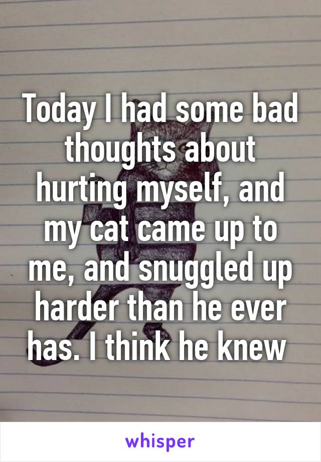 Today I had some bad thoughts about hurting myself, and my cat came up to me, and snuggled up harder than he ever has. I think he knew 