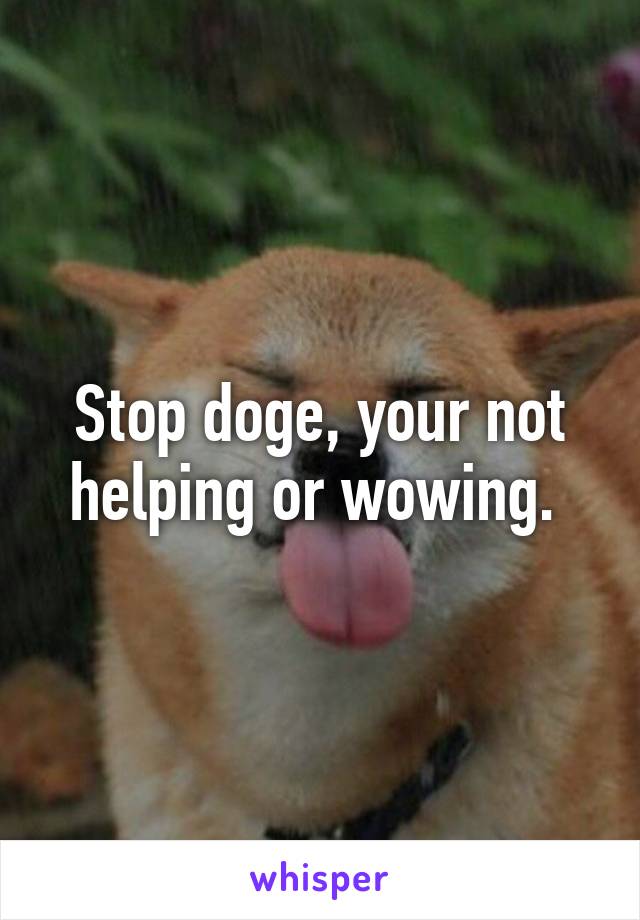 Stop doge, your not helping or wowing. 