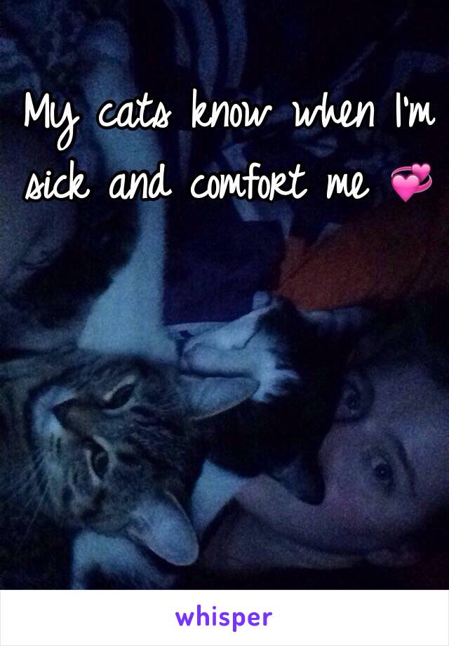 My cats know when I'm sick and comfort me 💞