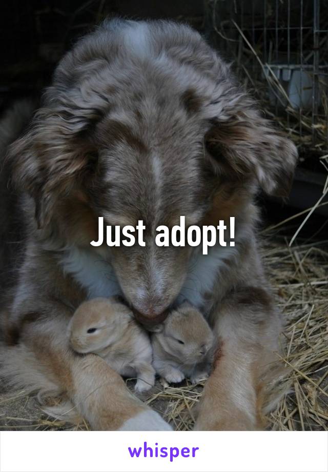 Just adopt!