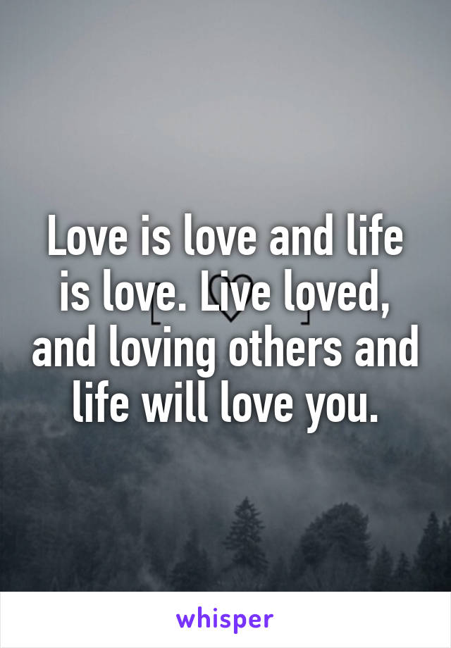 Love is love and life is love. Live loved, and loving others and life will love you.