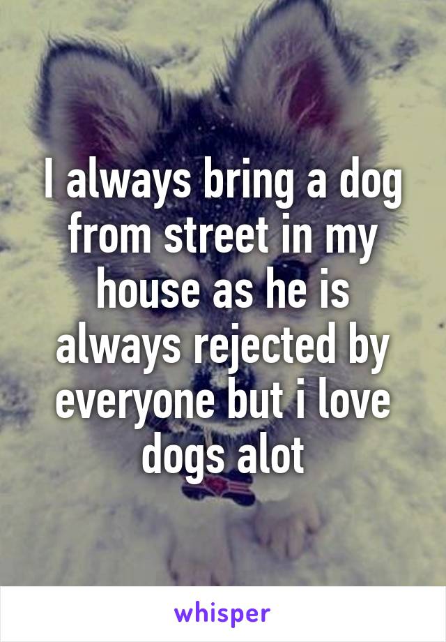 I always bring a dog from street in my house as he is always rejected by everyone but i love dogs alot