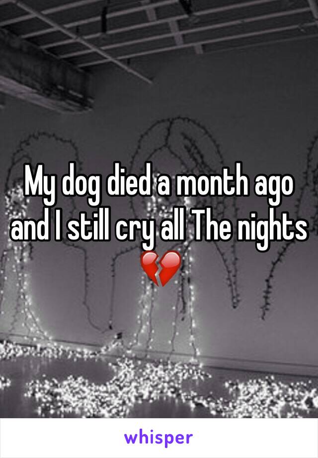 My dog died a month ago and I still cry all The nights 💔